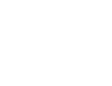 logo footer